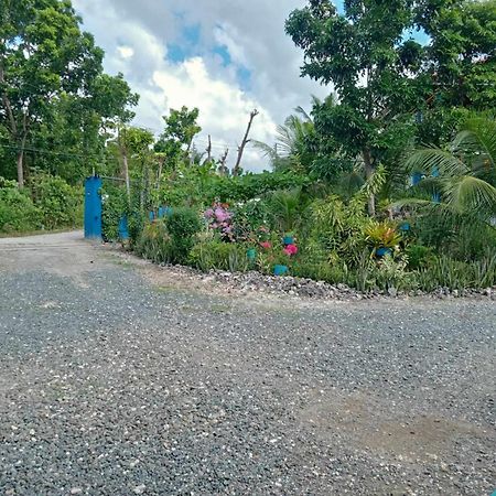 Happy Bear Villa Moalboal Exterior foto